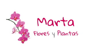 Marta Flores